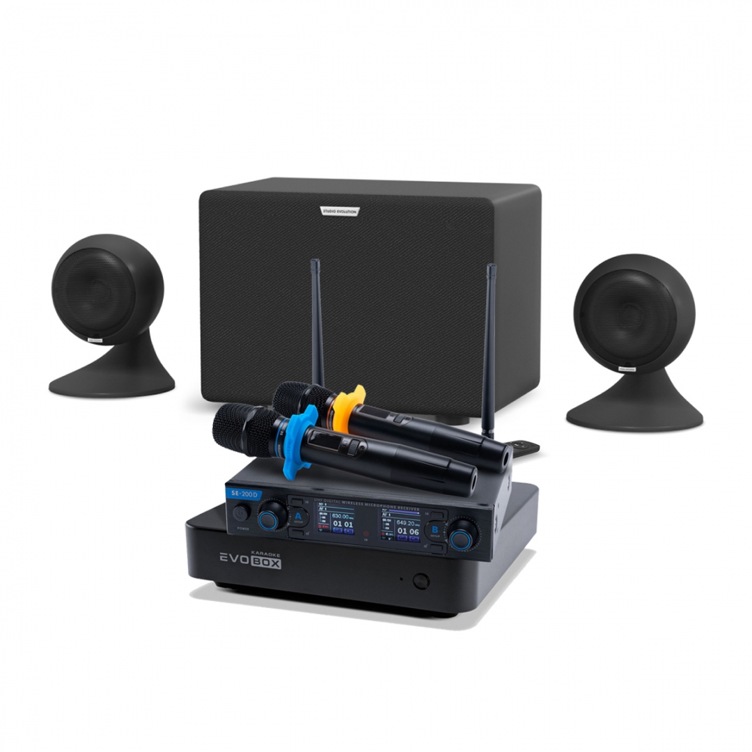 караоке-комплект EVOBOX + EvoSound Sphere 2.1 в Черноголовке