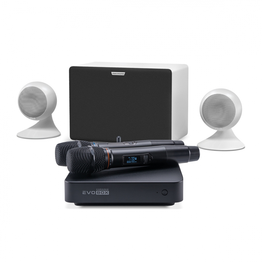 караоке-комплект EVOBOX Classic + EvoSound Sphere 2.1 в Черноголовке