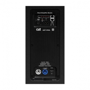 Активная акустическая система AST-310A в Черноголовке