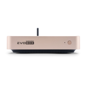 EVOBOX Classic караоке-система для дома в Черноголовке