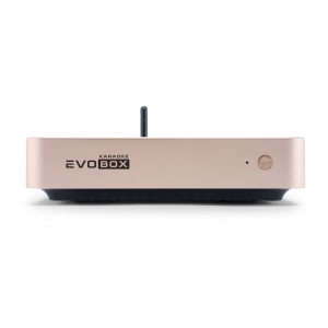 EVOBOX Plus караоке-система для дома в Черноголовке